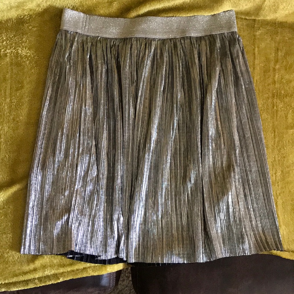 H&M Women’s Skirt